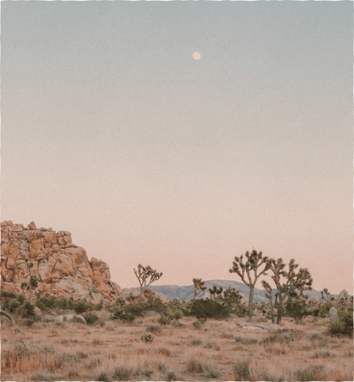 arizona desert landscape
