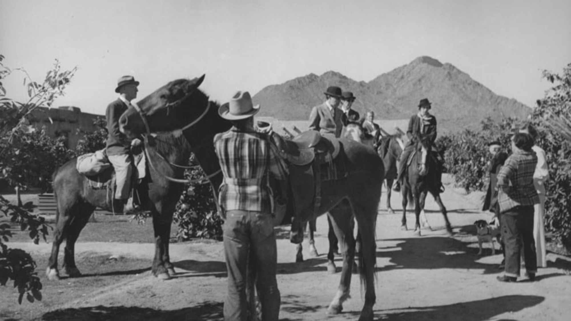 Group of men on their horses